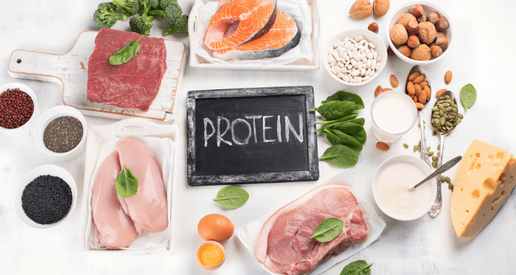 protein source